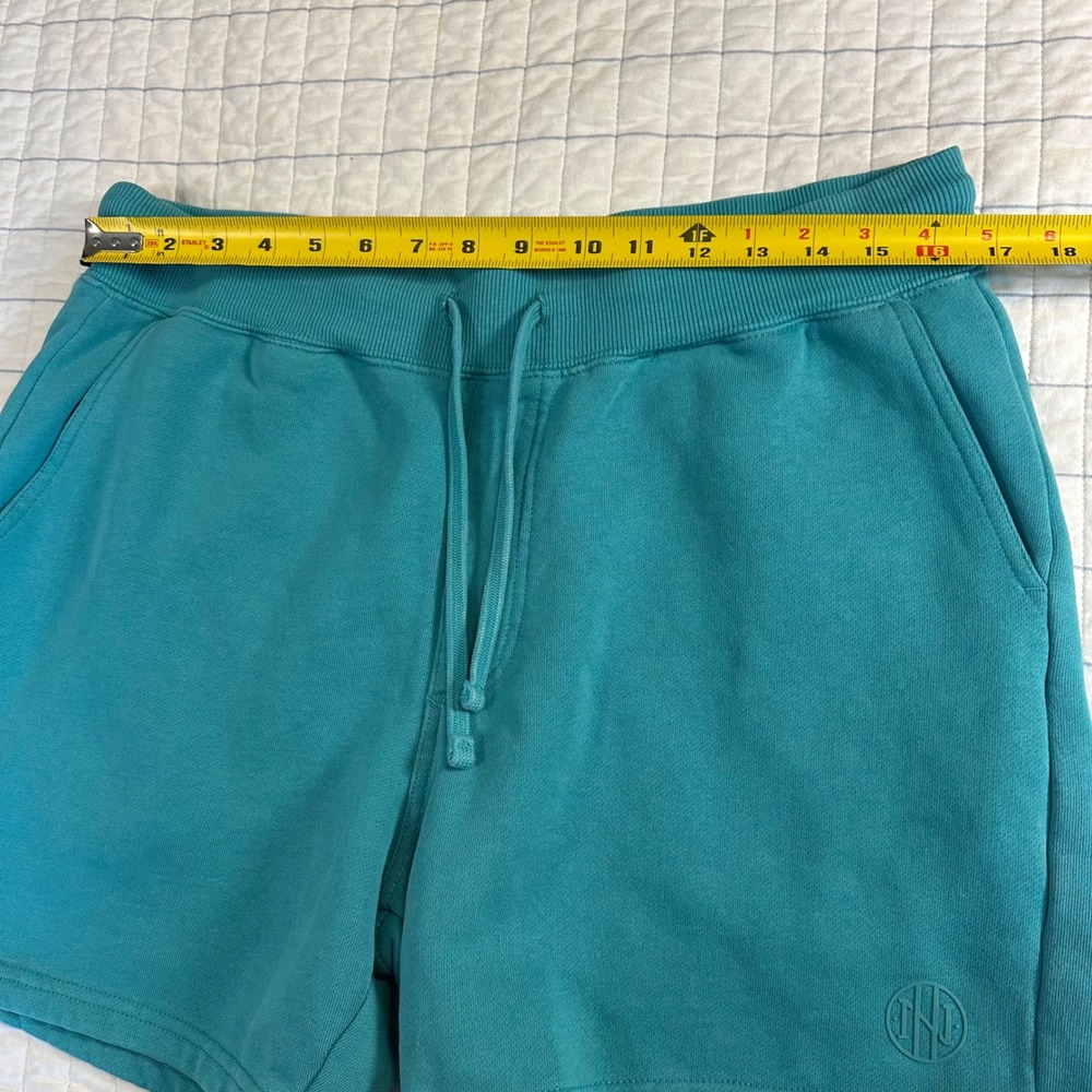 Ninth Hall Fundamentals Mens Teal Fleece Shorts Size L Organic Cotton Blend - Picture 3 of 9